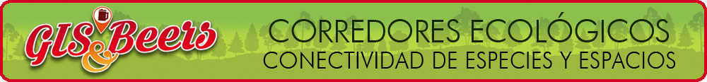 Curso de Corridor Designer