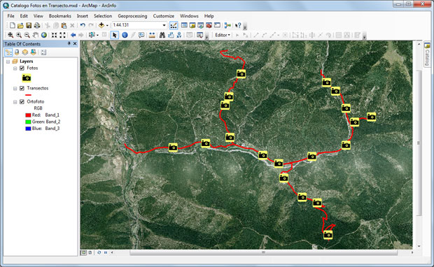 ArcMap-Imagen