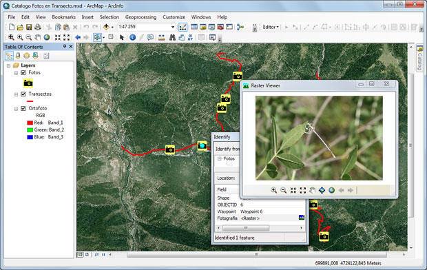 Imagenes-Shapefile