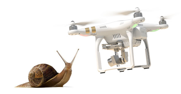 zonas con fauna sensible para drones