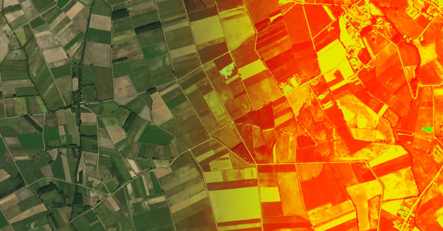 ndvi mosaico