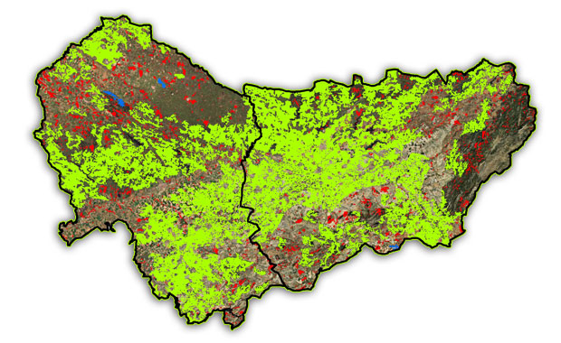 parches de biodiversidad aptitud territorial