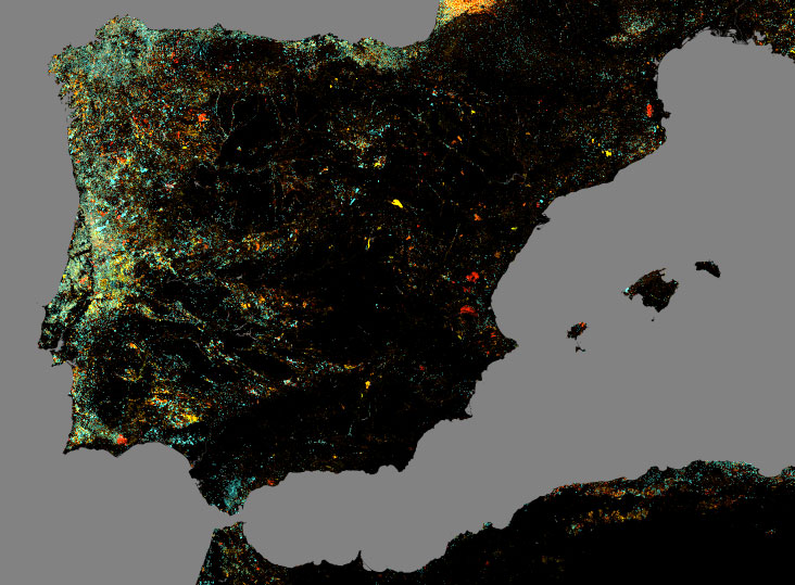 pérdida de superficie forestal