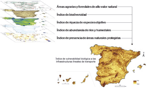 fragmentación de hábitats y pérdida de biodiversidad