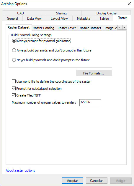 Opciones de construcción de archivos de pirámides en ArcMap