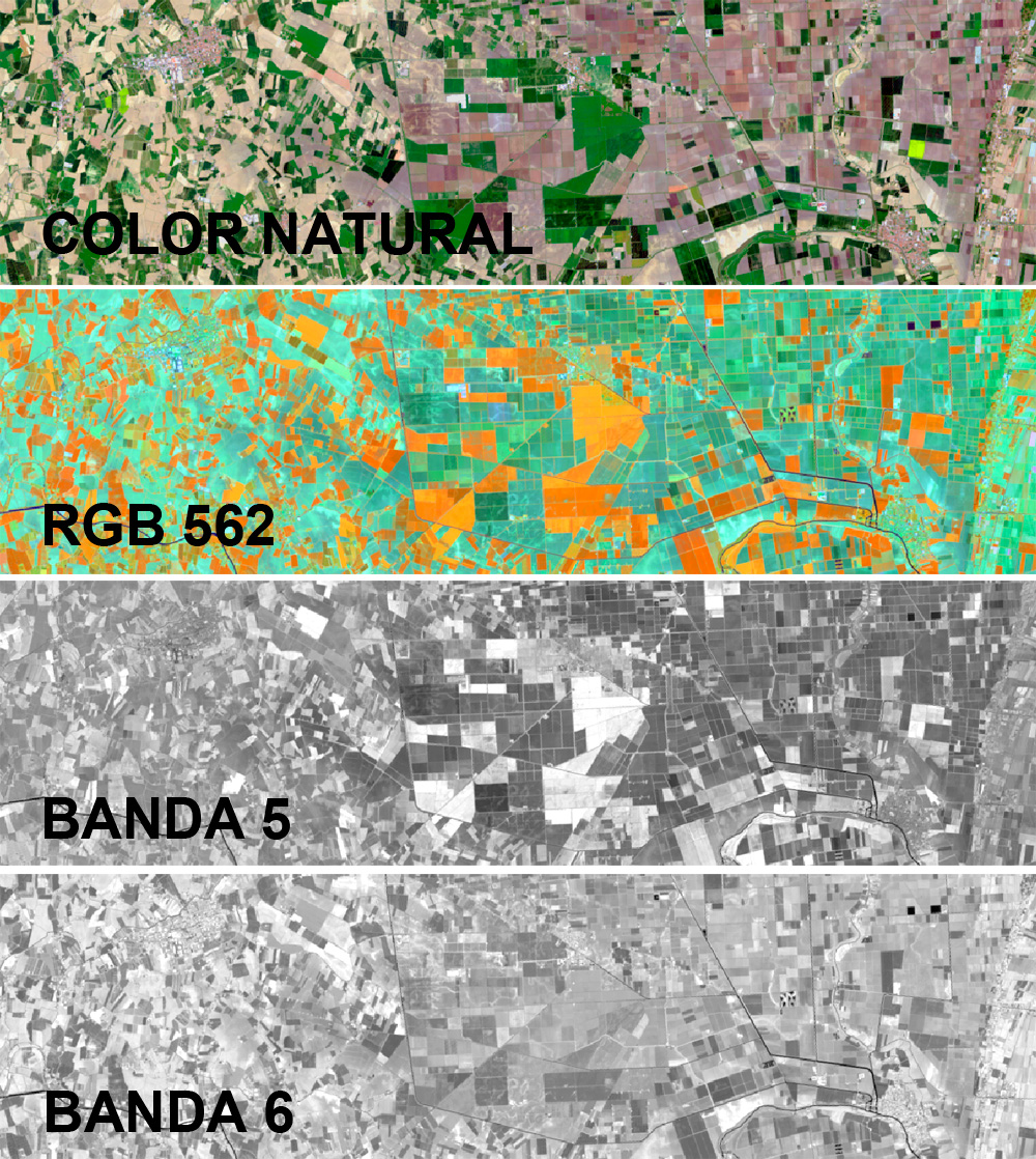 Cómo interpretar una imagen satélite a falso color con colores RGB