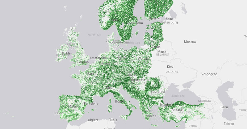 Mapa forestal de densidad de cobertura arbórea