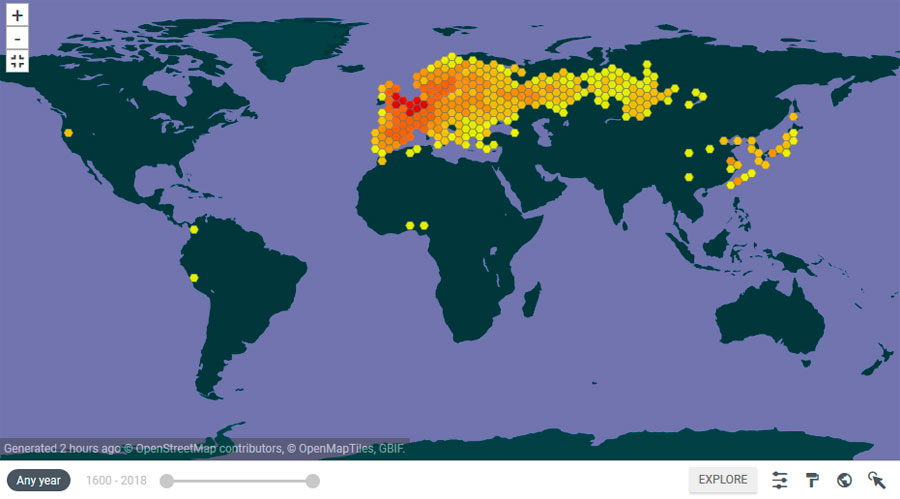 Cartografía de anfibios y reptiles GBIF