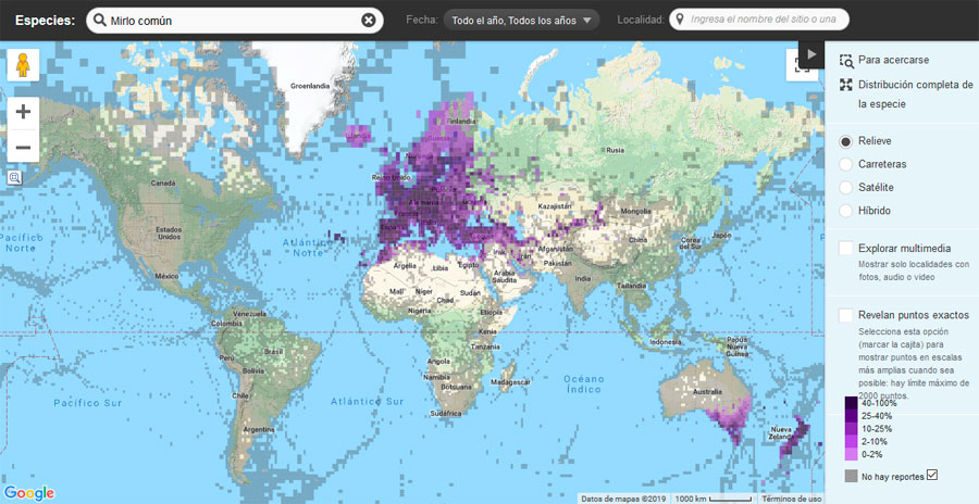 Cartografía de distribución de aves con eBIRD