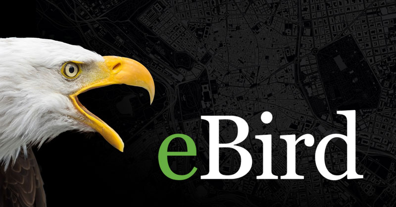 Cartografía de distribución de aves con eBIRD