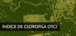 Clorofila Archivos Gis Beers