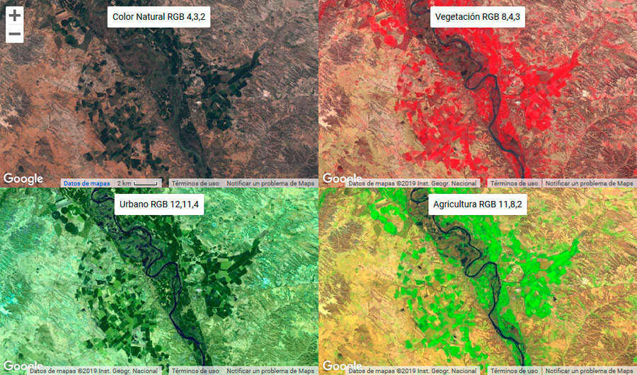 Múltiples vistas en mosaico para Google Earth Engine