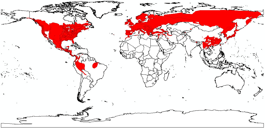 Distribución de especies en mapas de biodiversidad