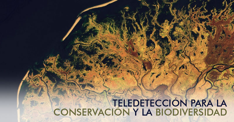 Webinar teledetección para la conservación y biodiversidad
