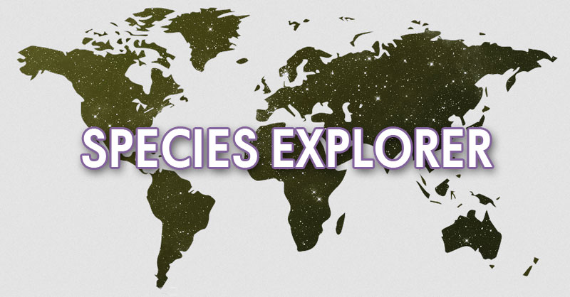 Species Explorer para la adquisición de mapas de especies