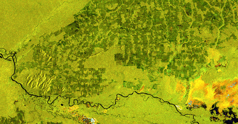 Seminario NASA: Monitoreo forestal con datos rádar y Earth Engine