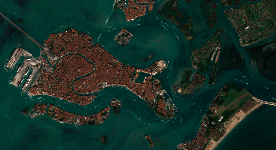 Les eaux de Venise sont devenues plus propres avec le confinement.