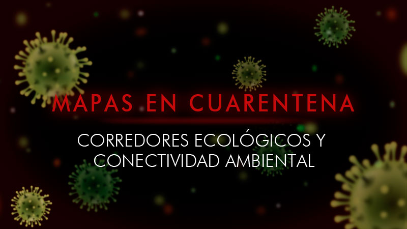 Corredores de especies para conectividad ambiental