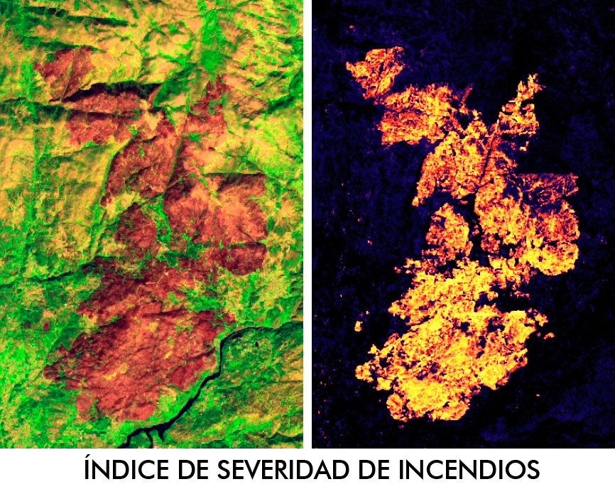 Indice de severidad de calcinación de incendios