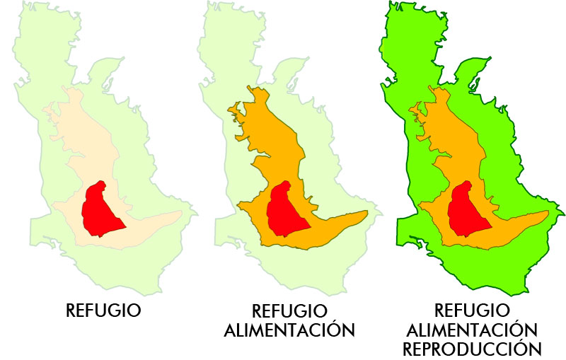 zonas de cmpeo y modelos de distribución potencial de especies