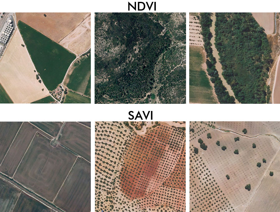 Comparativa de índice de vegetacion SAVI frente NDVI