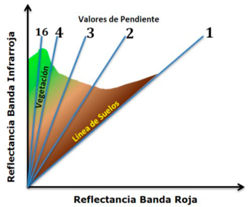 Línea de suelo para SAVI