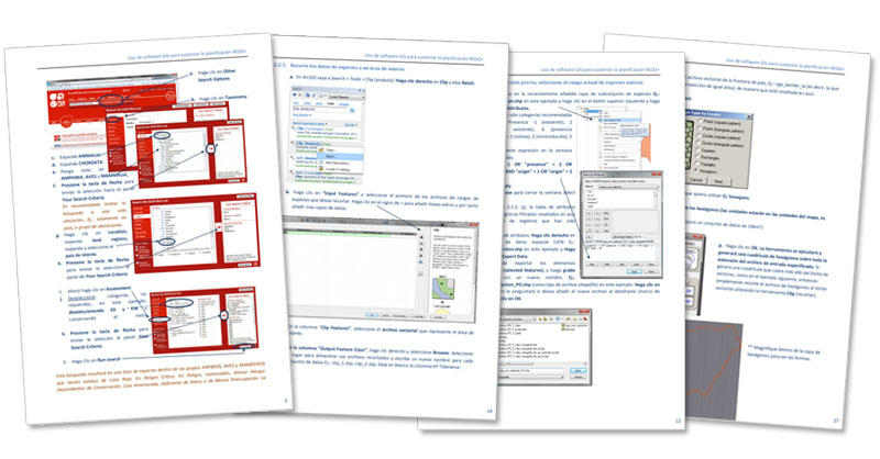 Manual de análisis de riqueza de especies en ArcGIS