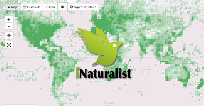 Coordenadas de distribución de especies con iNaturalist