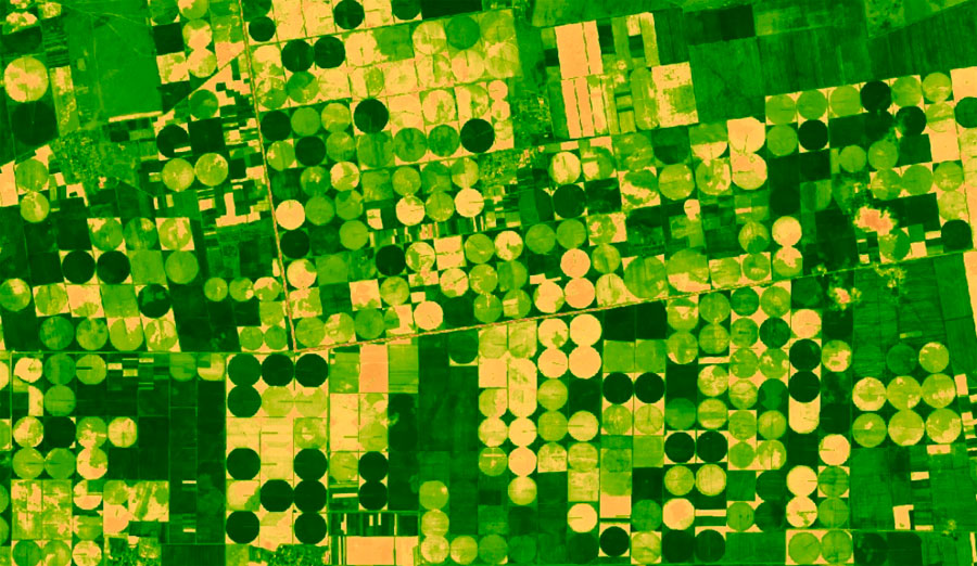 NDVI para seguimiento vegetal