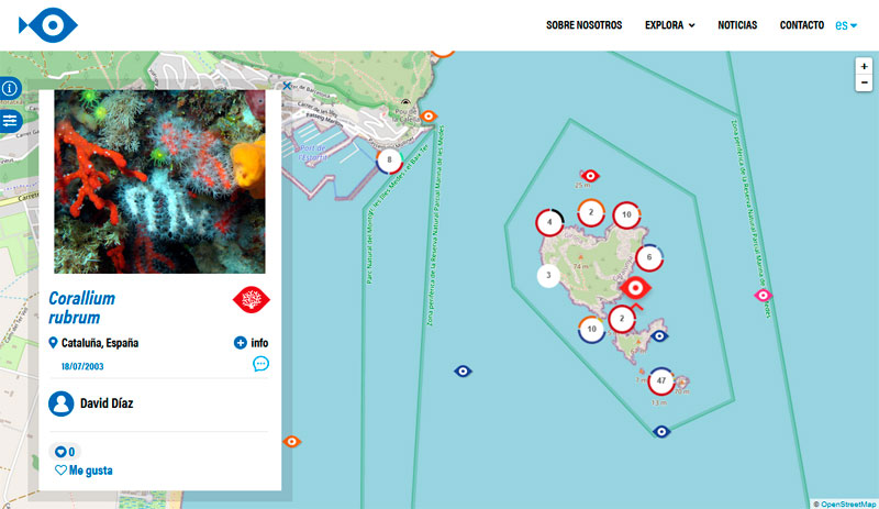 Mapas de distribución de fauna marina