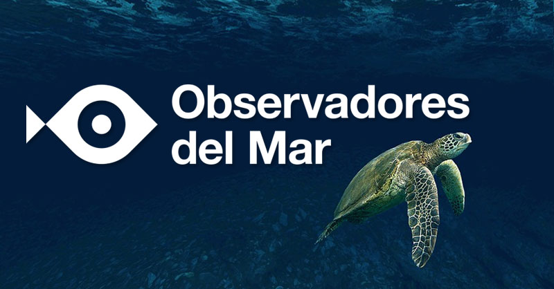 Distribución de especies marinas por ciencia ciudadana