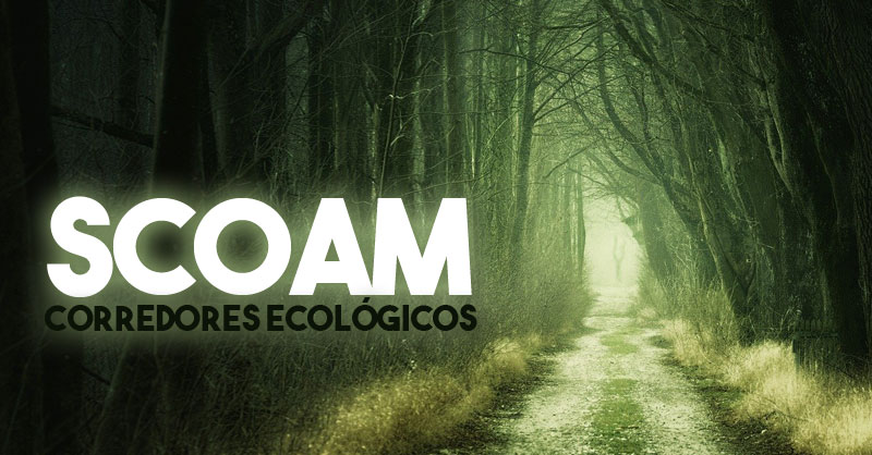 SCOAM corredores ecológicos para conectividad territorial