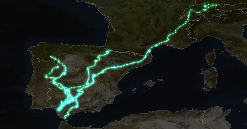 Mapas de radiotracking para conservación de especies