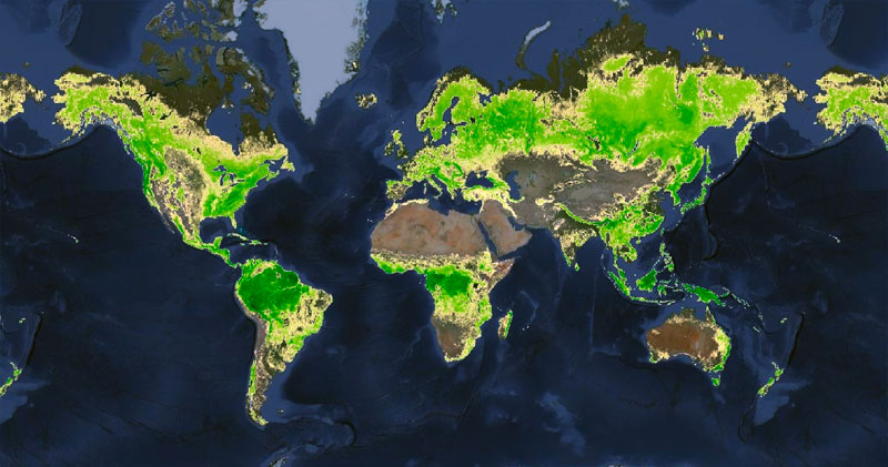 Cobertura de bosques mundial