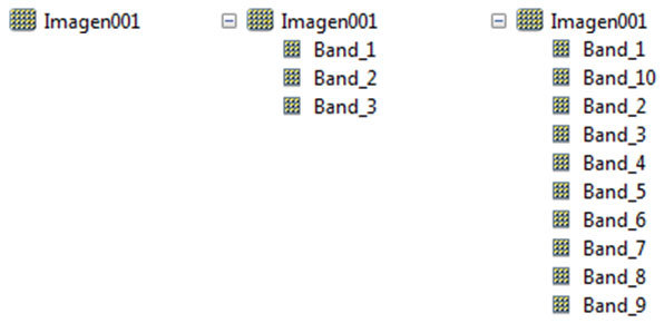 Así son nuestro amigos: los archivos ráster - Gis&Beers